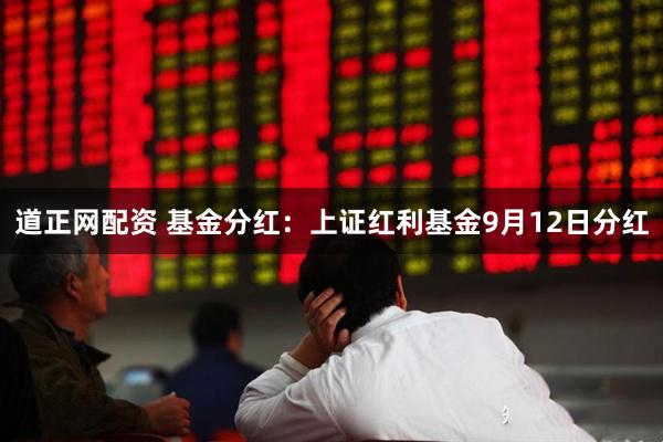 道正网配资 基金分红：上证红利基金9月12日分红