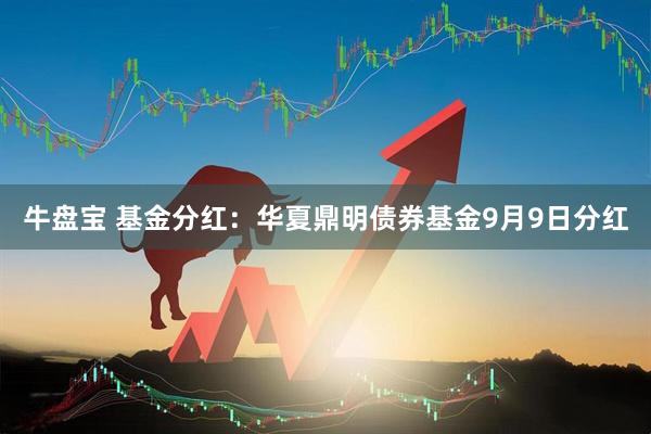 牛盘宝 基金分红：华夏鼎明债券基金9月9日分红