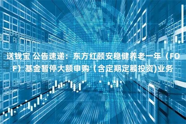 送钱宝 公告速递：东方红颐安稳健养老一年（FOF）基金暂停大额申购（含定期定额投资)业务