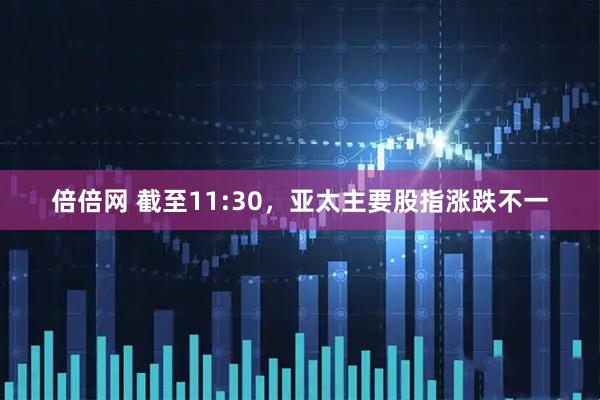 倍倍网 截至11:30，亚太主要股指涨跌不一