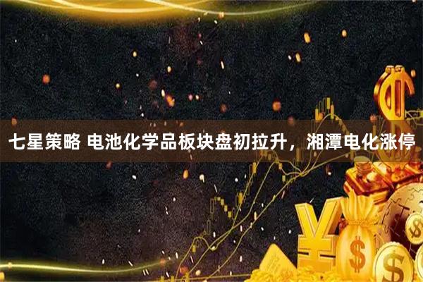七星策略 电池化学品板块盘初拉升，湘潭电化涨停