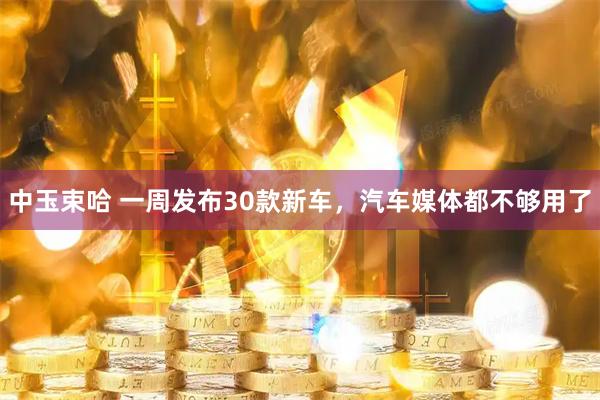 中玉束哈 一周发布30款新车，汽车媒体都不够用了