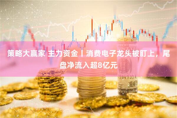 策略大赢家 主力资金丨消费电子龙头被盯上，尾盘净流入超8亿元